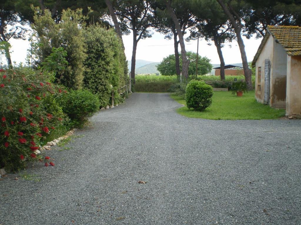 Agriturismo Ternova Alberese Kültér fotó