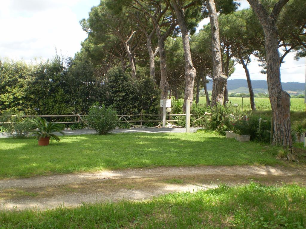 Agriturismo Ternova Alberese Kültér fotó